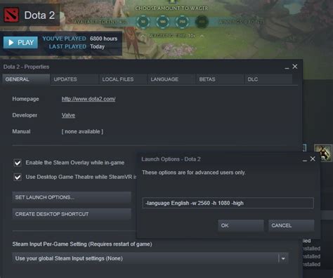 dota 2 start options|How to increase FPS in Dota 2: video settings and launch options.